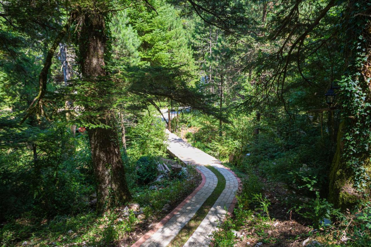 Dream House Villa Llogara National Park Buitenkant foto